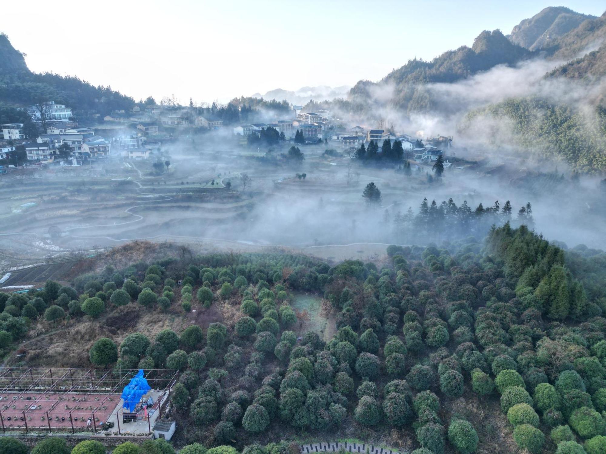 Hilltop House Resort Zhangjiajie Dış mekan fotoğraf