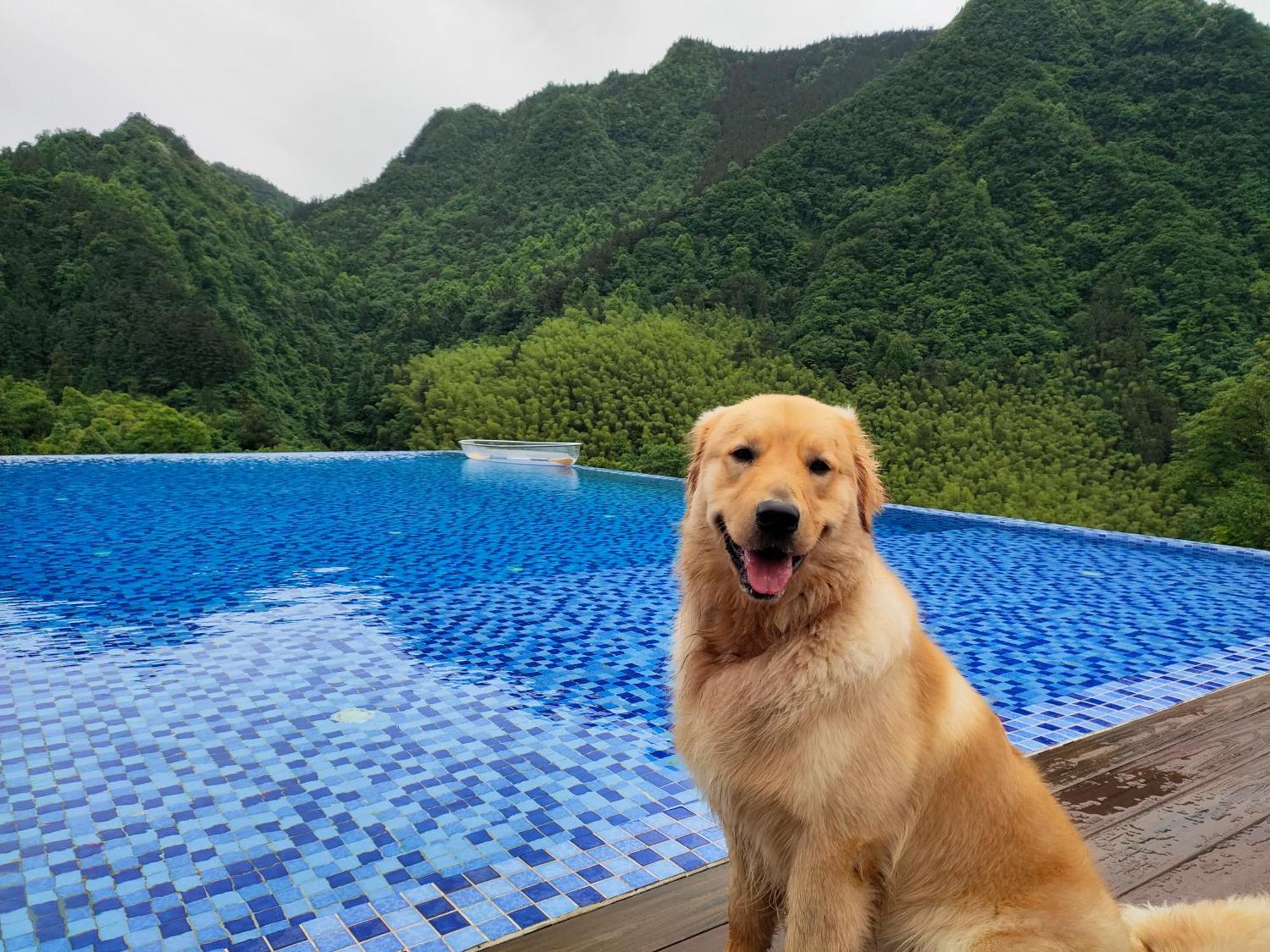Hilltop House Resort Zhangjiajie Dış mekan fotoğraf